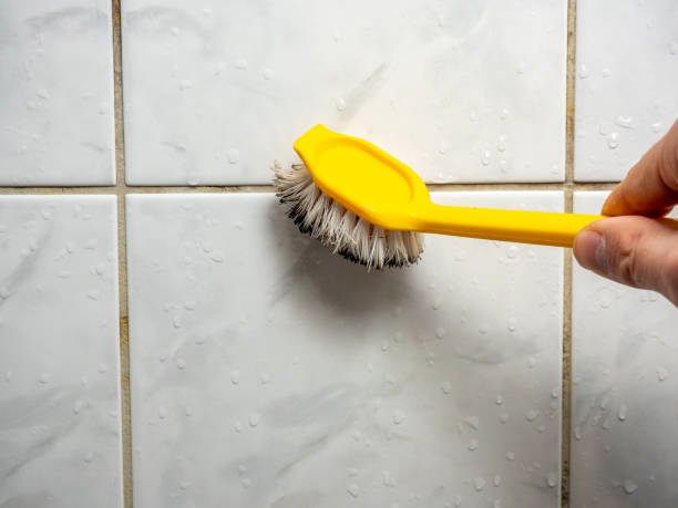 Best Mold Removal Specialists  in Hoisington, KS