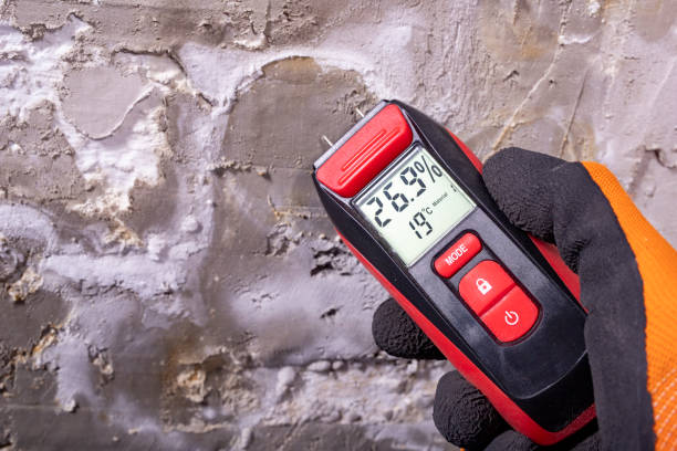 Best Mold Removal Near Me  in Hoisington, KS