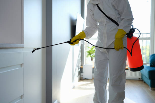 Best Commercial Mold Removal  in Hoisington, KS