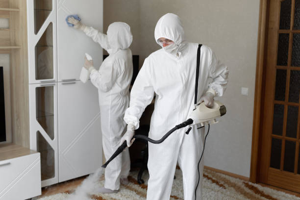 Best Mold Cleaning Services  in Hoisington, KS