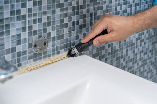 Best Mold Damage Repair  in Hoisington, KS